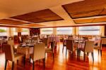 Delfin III Gallery Image